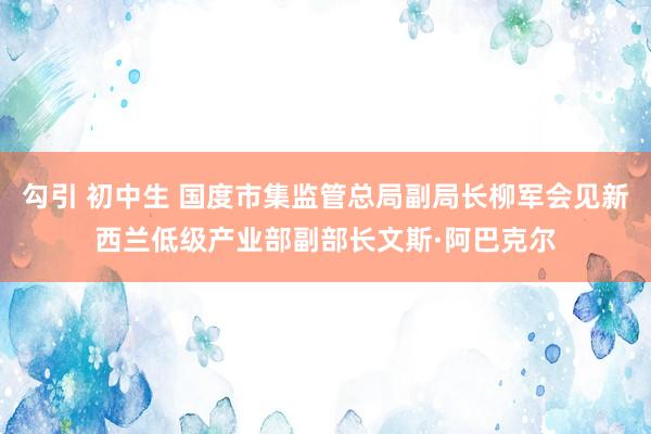 勾引 初中生 国度市集监管总局副局长柳军会见新西兰低级产业部副部长文斯·阿巴克尔