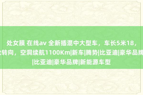 处女膜 在线av 全新插混中大型车，车长5米18，三电机+后轮转向，空洞续航1100Km|新车|腾势|比亚迪|豪华品牌|新能源车型