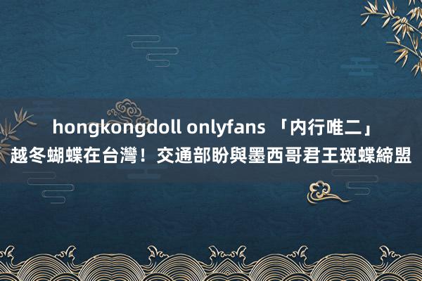 hongkongdoll onlyfans 「内行唯二」越冬蝴蝶在台灣！　交通部盼與墨西哥君王斑蝶締盟